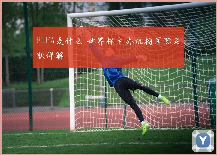 FIFA是什么 世界杯主办机构国际足联详解