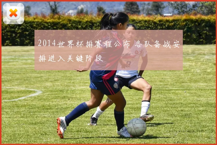 2014世界杯排赛程公布 各队备战安排进入关键阶段