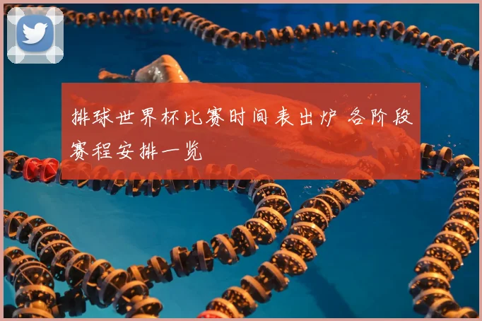排球世界杯比赛时间表出炉 各阶段赛程安排一览
