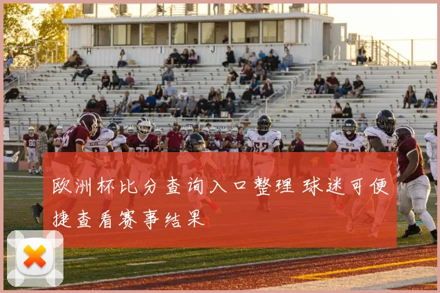 欧洲杯比分查询入口整理 球迷可便捷查看赛事结果