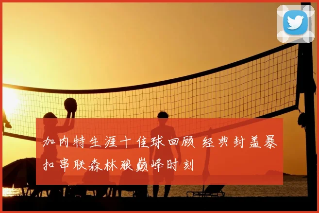 加内特生涯十佳球回顾 经典封盖暴扣串联森林狼巅峰时刻