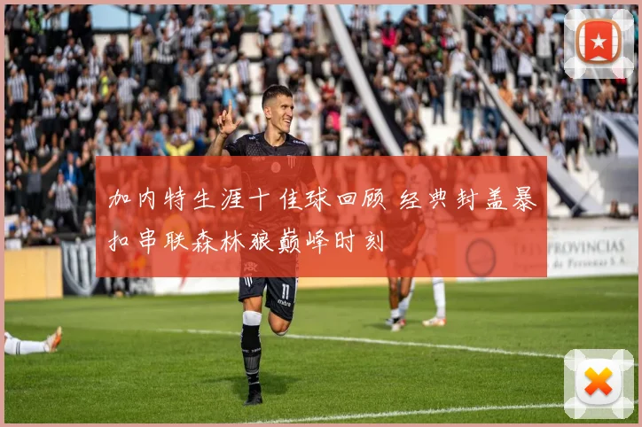 加内特生涯十佳球回顾 经典封盖暴扣串联森林狼巅峰时刻