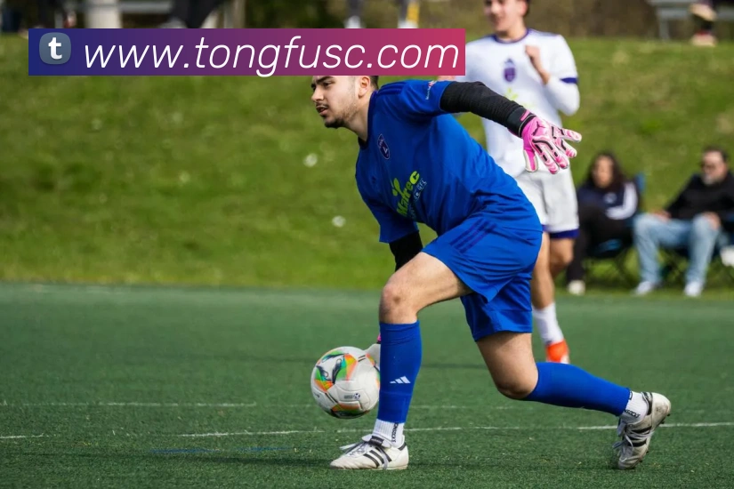 世界杯开户平台全站App